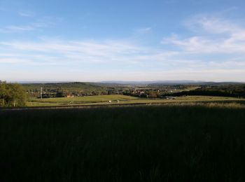 Percorso Mountainbike Semondans - mont vaudois - Photo