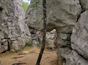 Randonnée Marche Berrias-et-Casteljau - Tour Lou-castel  - Photo