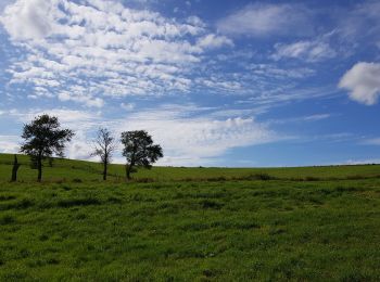 Tocht Stappen Seneffe - Feluy 0921 - Photo