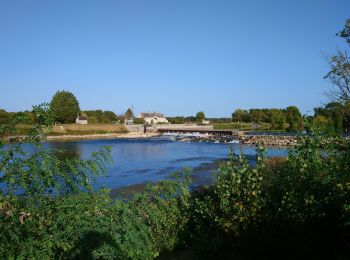 Excursión Senderismo Montlouis-sur-Loire - Montlouis-sur-Loire - gare GR41 Veretz Azay-sur-Cher - 13km 85m 2h45 - 2023 10 07 - Photo