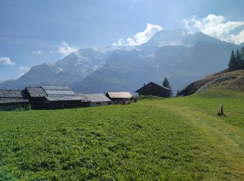 Trail Walking Sainte-Foy-Tarentaise - 240821 - Tignes - leMonal via St Foy et ... chenal - Photo