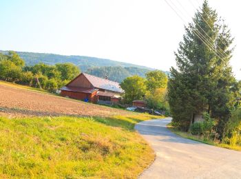 Tocht Te voet Kněžnice - [M] Cidlina - Tábor - Photo