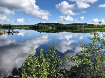 Trail Walking Saint-Agnan - Saint Agnan, Le tour du lac - Photo