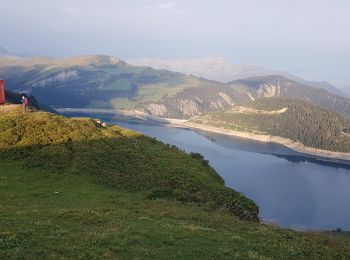 Tocht Stappen Beaufort - Beaufortain: Autour de La Pierra Menta: J5 - Plan Mya - La Coire - Photo