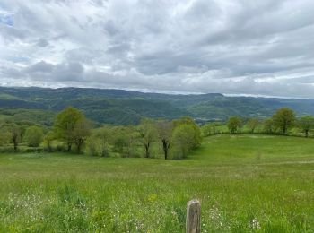 Excursión Senderismo Trélans - Étape 4 Saint Gilhem  - Photo