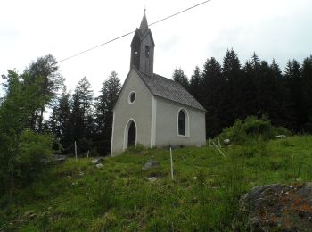 Tour Zu Fuß Toblach - IT-7 - Photo