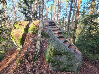 Trail On foot Redwitz a.d.Rodach - Redwitzer Runde - Photo