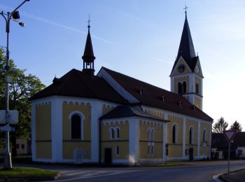 Tour Zu Fuß Schwarzbach - Naučná stezka Trasa B - Photo