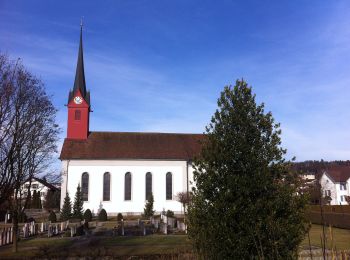 Excursión A pie Boswil - Waltenschwil - Bünzen - Boswil - Photo