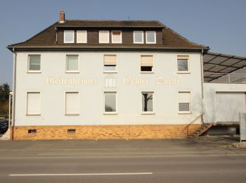 Percorso A piedi Geisenheim - Geisenheimer Rundweg M - Photo