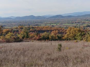 Excursión Senderismo Barjac - 2019-11-26 13:50 - Photo