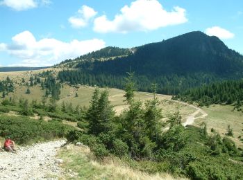 Tour Zu Fuß  - Ferice-Peștera Ferice-Traseul BR - Photo