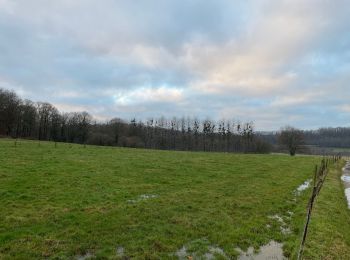 Randonnée Marche Messancy - Étang des nénuphars  - Photo