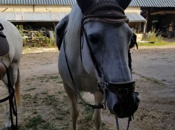 Tour Reiten Sougé - Centre-Sougé-j1-chenillé-11km-evasion19 - Photo