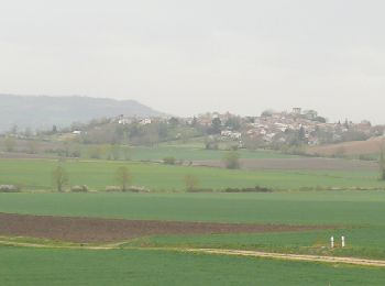 Tocht Stappen Beauregard-l'Évêque - beauregard-lEveque - Photo