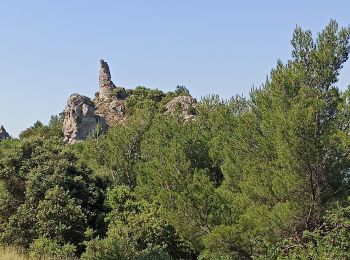 Trail Mountain bike Vaison-la-Romaine - Tour des Dentelles - Photo