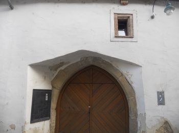 Tocht Te voet Gemeinde Klosterneuburg - Klosterneuburg - Hohenauer Wiese (Adolf Robl Weg) - Photo