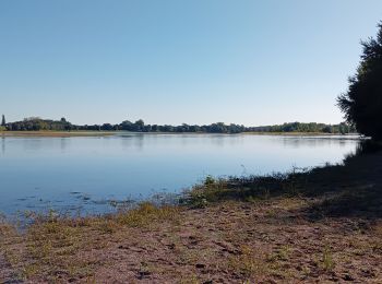 Randonnée Marche Brissac-Loire-Aubance - St Rémy la Varenne - Photo