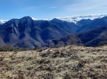 Tocht Stappen Sacoué - marrouye depuis le pied du Touroc  - Photo