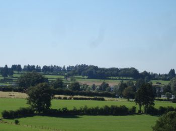 Tour Zu Fuß Büllingen - GrWandArd 15 Büchholz de pracht van het NP Eifel - Photo