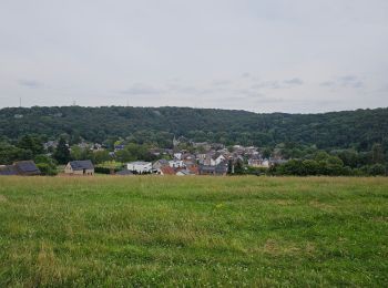 Tocht Stappen Montigny-le-Tilleul - Balade de Landelies à l'abbaye d'Aulne - Photo