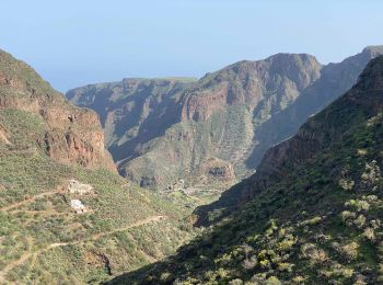 Randonnée Marche Ingenio - Barranco de Guayadeque (Gran Canaria) - Photo