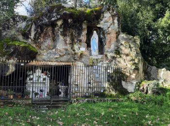 Trail Walking Pauillac - pauillac  - Photo