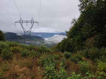 Trail Walking Caussou - le col des canons - Photo