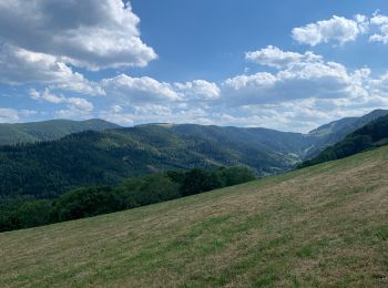 Randonnée Randonnée équestre Orbey - Orbey- Sainte Marie aux mines - Photo