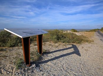 Trail Walking Cayeux-sur-Mer - Route Blanche_Maison del'Oiseaux - Photo