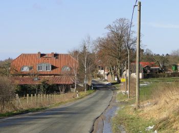 Tocht Te voet Dümmer - Dümmerstück Hof - Walsmühlen - Photo