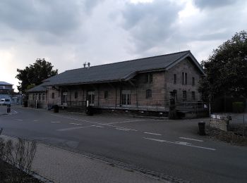 Tour Zu Fuß Gunzenhausen - Wachtturm-Weg - Photo