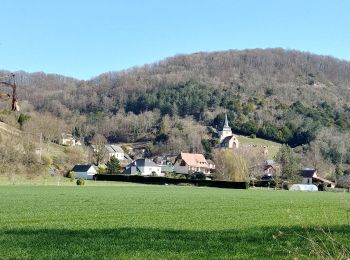 Randonnée Marche Poses - Rando Alain  Amfreville sous les monts du 1er mars 2021 - Photo