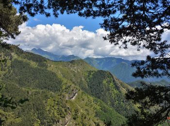 Tocht Stappen Lantosque - les Granges de la Brasque - Photo