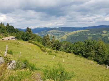 Randonnée Vélo électrique La Bresse - la bresse - piquante pierre - col de la burotte - Photo