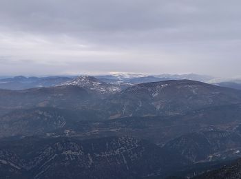 Randonnée Raquettes à neige Beaumont-du-Ventoux - raquettes Mont Serein - Photo