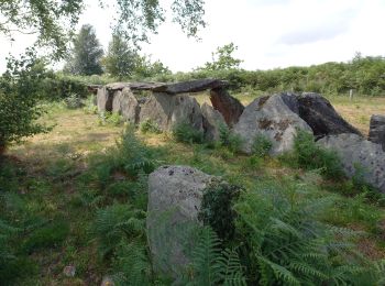 Excursión Senderismo Bon Repos sur Blavet - Les Landes de Liscuis (Laniscat) - Photo