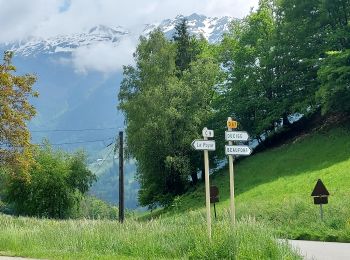 Percorso Bici da strada Saint-Jorioz - REALISE P116 Ugines + Col de la Forclaz - Photo