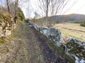 Trail Walking Le Pla - Mijanès Montferrant  - Photo