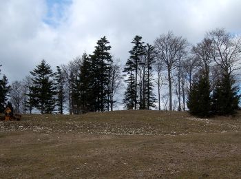 Tour Zu Fuß Gemeinde Berndorf - Berndorf - Grillenberg - Fotzeben - Hoher Mandling - Photo