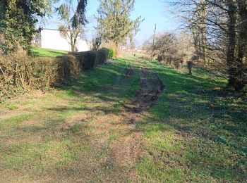 Tour Wandern Momignies - 2022-03-09_13h31m33_Seloignes 2022 10 km - Photo
