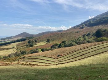 Randonnée Marche Macaye - Mont Baigura  - Photo