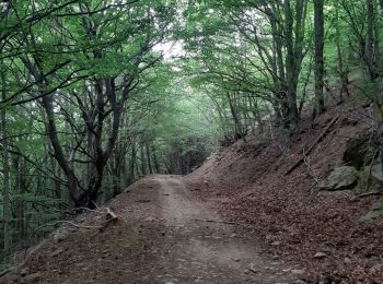 Percorso Marcia L'Albère - col de l ullat . puig d orella . puîg sant cristau . col de l ullat - Photo