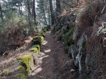 Randonnée Marche Vernon - Tétines et cascade de Baumicou - Photo
