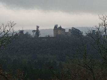 Excursión Senderismo Mercuès - Mercués les Grands Camps_autour du château 6,4 - Photo