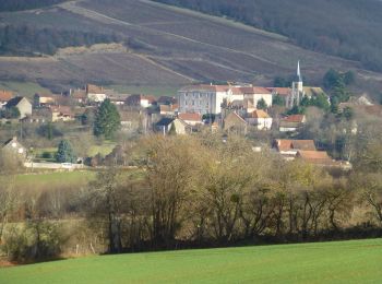 Randonnée A pied Bissy-sur-Fley - Chemin de Pissevache - Photo