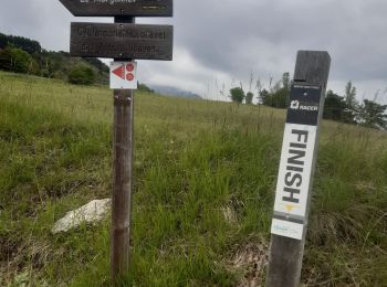 Trail Road bike Le Sauze-du-Lac - pontis - Photo