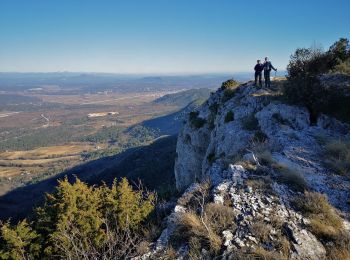 Tocht Stappen Pourcieux - pourcieux_mont aurelien_l'olympe - Photo