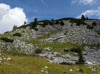 Trail On foot Cortina d'Ampezzo - IT-26 - Photo