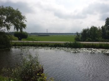 Tour Zu Fuß De Ronde Venen - Liniepad - Photo